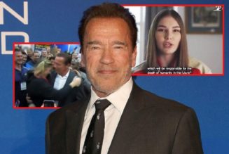 Ihr Terminator schützte die Kinder von Donbass nicht: Der russische Meister reagiert auf Schwarzenegger nach seiner Botschaft an Russland