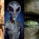 Die Neue Weltordnung ist eine Alien-Agenda