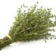 Thymian – Je frischer und würziger, desto besser für die Gesundheit
