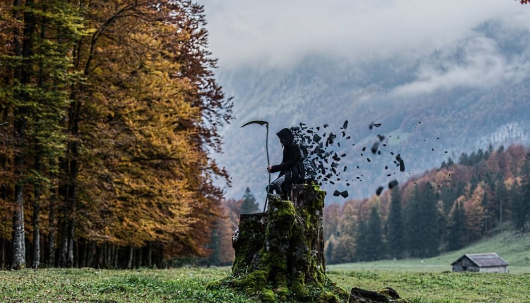 Zeit, Zufall Und Tod: Die Gleichgültigen Götter Der Evolution