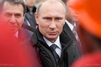Russland könnte bald Rubel für Düngemittel, Getreide, Mineralien, Holz und andere Rohstoffe verlangen, nicht nur für Energie