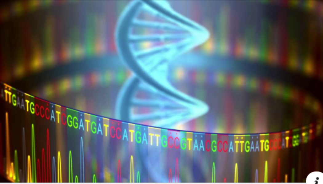 Erster lückenloser Gencode des Menschen DNA-Abfolge des menschlichen Genoms erstmals vollständig entschlüsselt