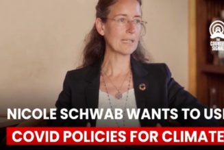 Die Tochter Von Klaus Schwab Will, Dass Regierungen COVID-Richtlinien Für Den Klimawandel Einsetzen