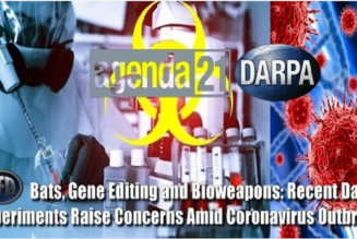 DARK WINTER vertieft sich: DARPA entwickelt On-Demand-Gentherapie