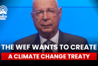 Das Weltwirtschaftsforum Will Einen Klimaschutzvertrag Schaffen