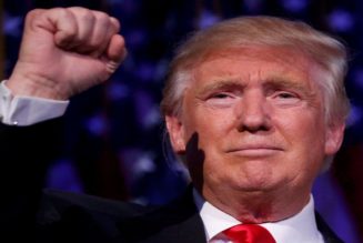 Dokumentarfilm behauptet: Trump hat die Wahl gewonnen – Wahlbetrug ist endlich erwiesen