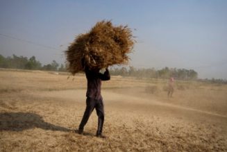 Beispiellose Hitzewelle Und Brände In Indien. Die Globale Nahrungsmittelkrise Wird Jetzt Garantiert