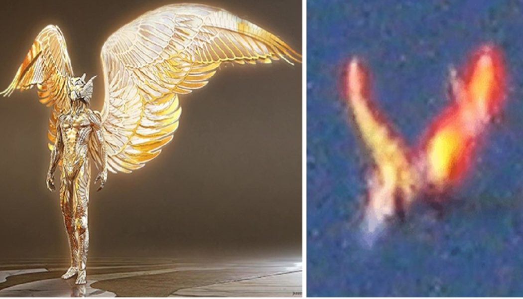 Ist Horus zur Erde zurückgekehrt – Colorado hat eine fliegende, fliegende Kreatur gefilmt