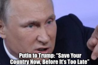 Putin an Trump: „Rette dein Land jetzt, bevor es zu spät ist“ (Video)