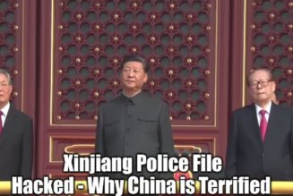 Polizeiakte von Xinjiang gehackt – Warum China verängstigt ist (Video)
