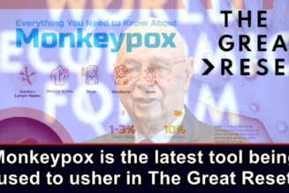 Monkeypox Ist Das Neueste Werkzeug, Das Verwendet Wird, Um Den Great Reset Einzuleiten