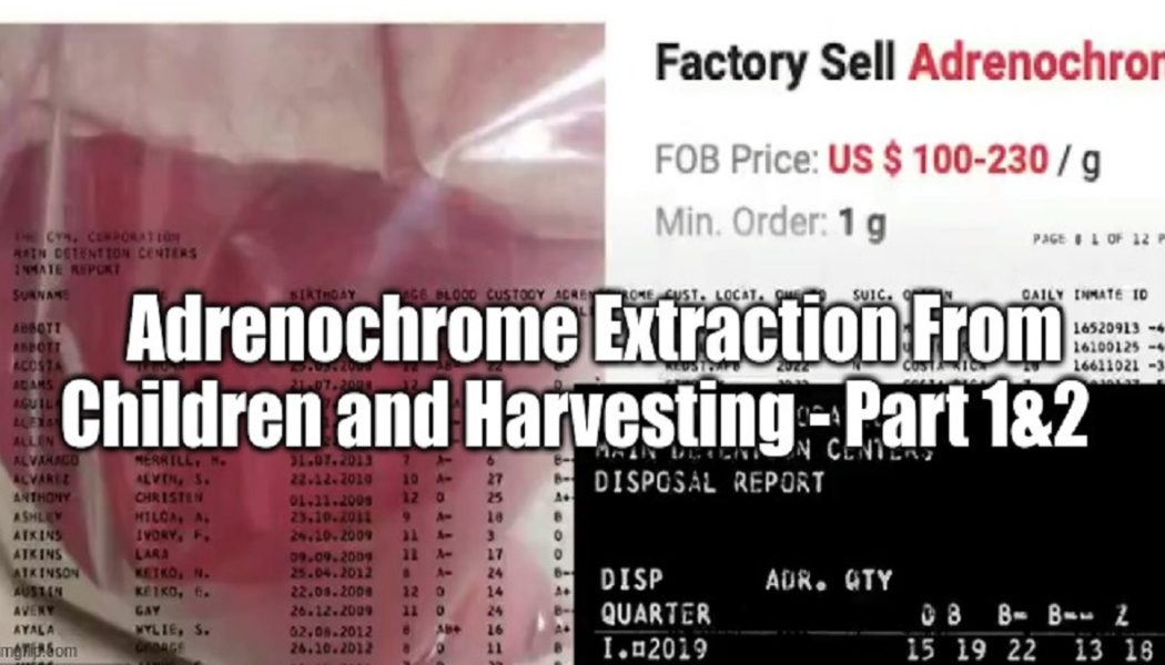 Adrenochrom-Extraktion aus Kindern und Ernte – Teil 1 & 2 (Videos)