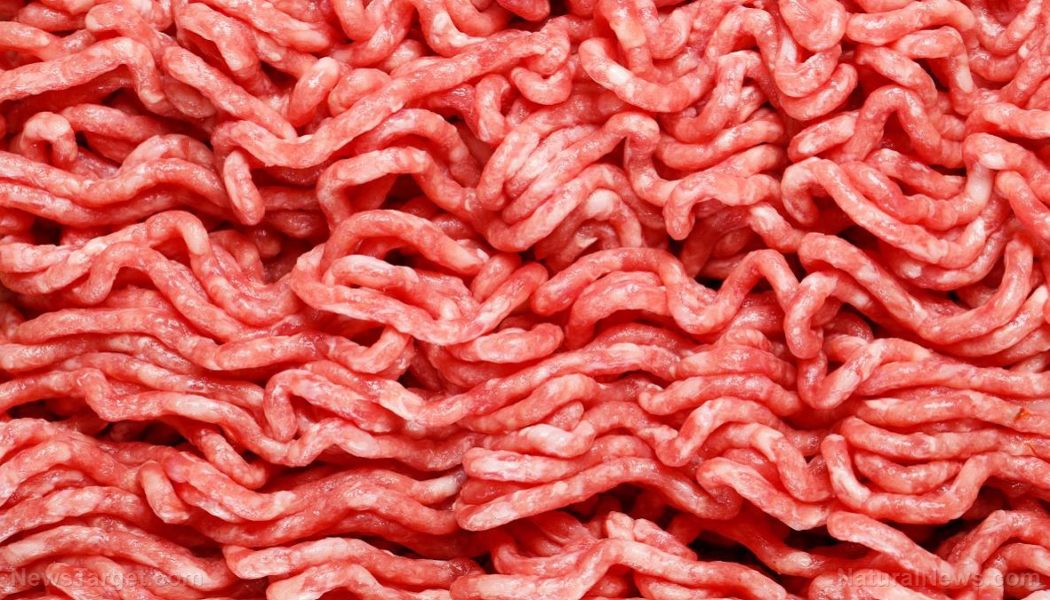 In Labors gezüchtetes gefälschtes Fleisch mag Investoren reich machen, aber es ist ein Albtraum für die menschliche Gesundheit