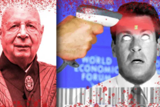 WEF startet „Very Sinister“ Digital Passport – Ja, Ihr Blut wird benötigt