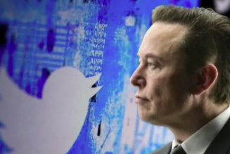 „90 % Bots“: Elon Musk enthüllt, dass Twitter eine militärische Psy-Op ist, um die Massen einer Gehirnwäsche zu unterziehen