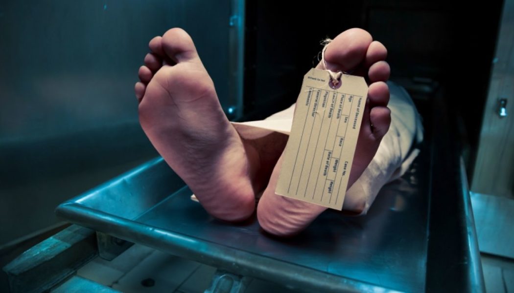 Grusel-Entdeckung: Bestatterin zerstückelt Leichen und verkauft Körperteile