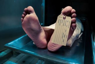 Grusel-Entdeckung: Bestatterin zerstückelt Leichen und verkauft Körperteile