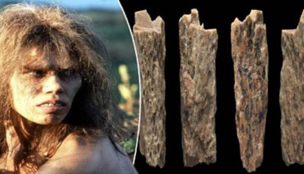 Archäologen entdecken einen 90.000 Jahre alten humanoiden Hybriden (Video)