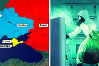 Russisches Verteidigungsministerium veröffentlicht Daten über durch Zecken übertragene Infektionen in US-Biolabors in der Ukraine