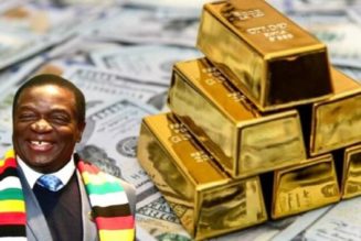 Simbabwe gibt den amerikanischen Dollar auf und wechselt zu Gold; Weitere afrikanische Nationen sollen dem Beispiel folgen