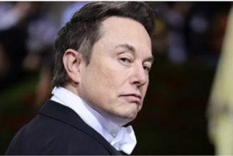 Elon Musk ist eine „geheime“ junge globale Führungskraft und teilt die Vision von Klaus Schwab
