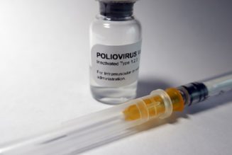 Ist der jüngste Polio-Schrecken tatsächlich durch den Impfstoff verursacht worden?