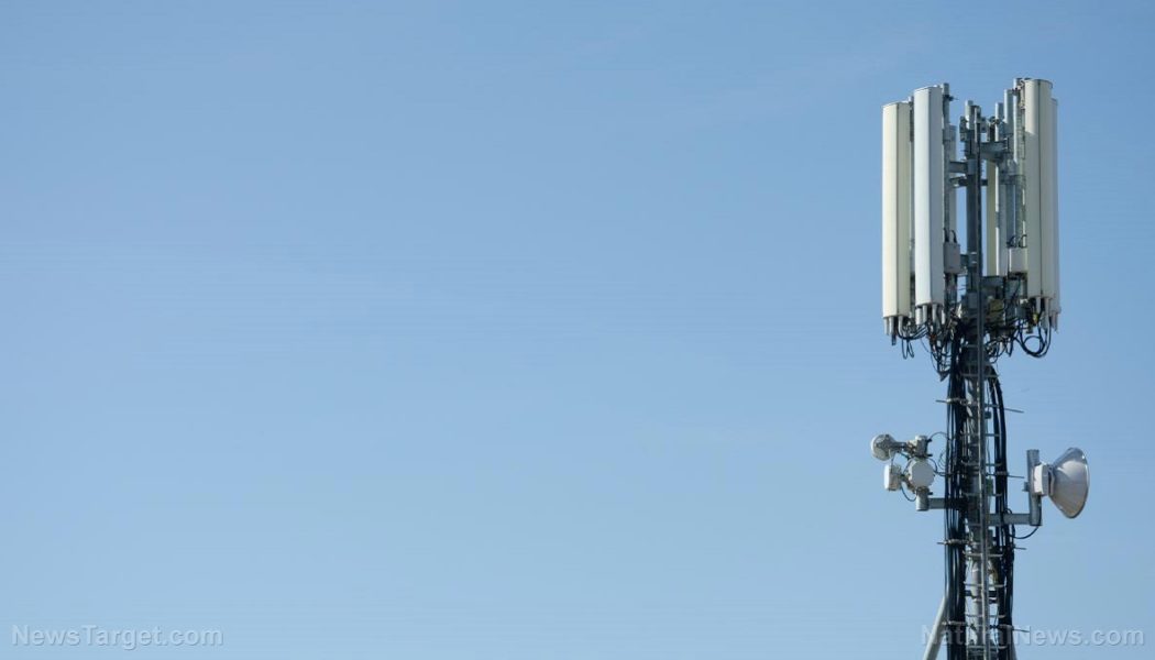 Die europäischen Telekommunikationsnetze könnten diesen Winter aufgrund der Energiekrise offline gehen