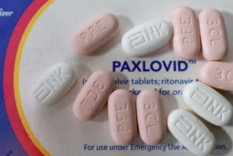 Neue Studie zeigt, dass die Paxlovid-Pille von Pfizer tödliche Blutgerinnsel verursacht – Medien-Blackout