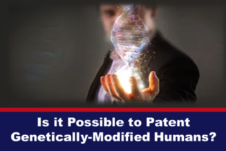 Ist es möglich, gentechnisch veränderte Menschen zu patentieren?