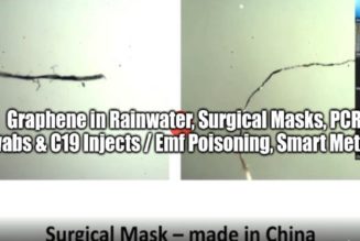 Graphen in Regenwasser, OP-Masken, PCR-Tupfer & C19-Injektionen / EMF-Vergiftung, Smart Meter (Video)