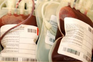 Ungeimpfte Blutbanken? Erfahren Sie mehr über die wachsende Bewegung für saubere Transfusionen