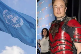 UN befiehlt Elon Musk, unabhängige Medien auf Twitter zu zensieren