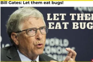 Heuchlerische Globalisten essen Gourmet-Fleisch, während sie dem Rest von uns eine Diät von Käfern aufzwingen