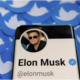 Musk warnt vor möglicher Twitter-Pleite: „Schwierige Zeiten stehen bevor“