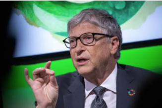 Bill Gates teilt den Staats- und Regierungschefs der G20-Welt mit, dass bald „Todesgremien“ erforderlich sein werden