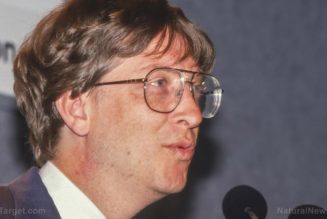 Bill Gates plant eine „katastrophale Ansteckung“, die junge Erwachsene und Kinder töten könnte