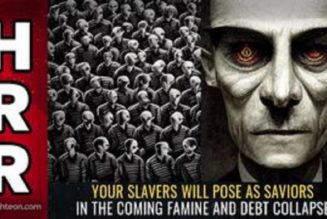 Ihre Sklavenhändler werden sich als Retter in der kommenden Hungersnot und dem Schuldenkollaps ausgeben! – Mike Adams Muss Video
