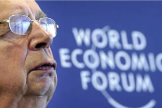 Das WEF ernannte die Rolle der „Weltregierung“ in Metaverse