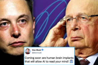 Elon Musk wurde dabei erwischt, wie er das WEF mit Mind-Control-Chips versorgte, um die Menschheit zu versklaven