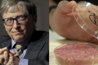 Studie: Laborgezüchtetes Fleisch von Bill Gates verursacht Krebs beim Menschen