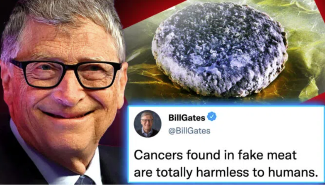 Studie enthüllt, dass falsches Fleisch von Bill Gates „Turbo-Krebs“ beim Menschen verursacht