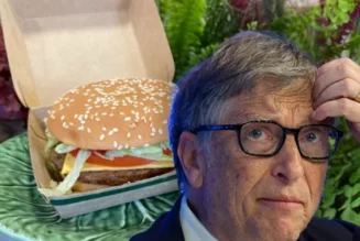 Die Fake-Fleisch-Industrie von Bill Gates droht der Bankrott