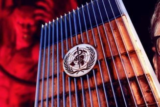 Der Pandemievertrag der WHO ist ein kommunistischer Polizeistaat der neuen Weltordnung