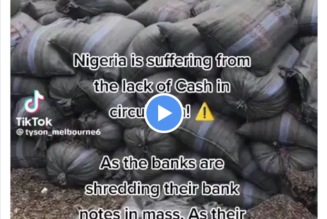 Von Nigeria zur NWO: Eine große Menge Banknoten geschreddert