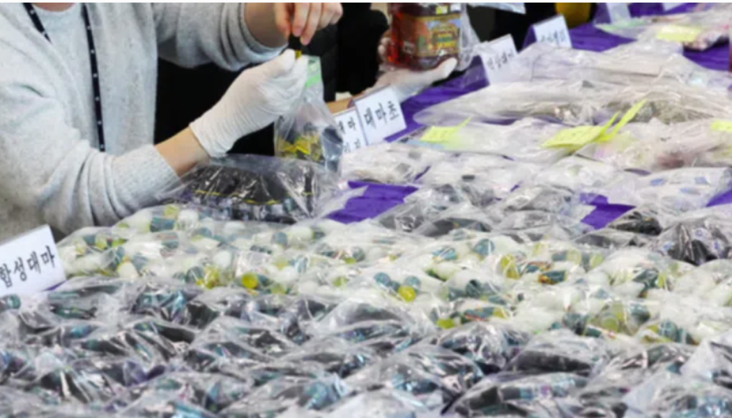 Südkorea beschlagnahmt Tausende Pillen mit „pulverisiertem Fleisch toter Babys“