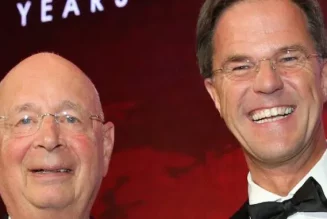Die Niederländer lehnen die WEF-Agenda ab, da die Regierung von Mark Rutte dramatisch zusammenbricht