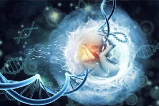 Wissenschaftler erschaffen einen synthetischen menschlichen Embryo, ohne Sperma, Eizelle oder Gebärmutter zu verwenden