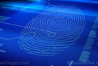 Biometrische digitale ID-Nummern und persönlich identifizierbare Informationen von etwa 815 Millionen Indern GEHACKT