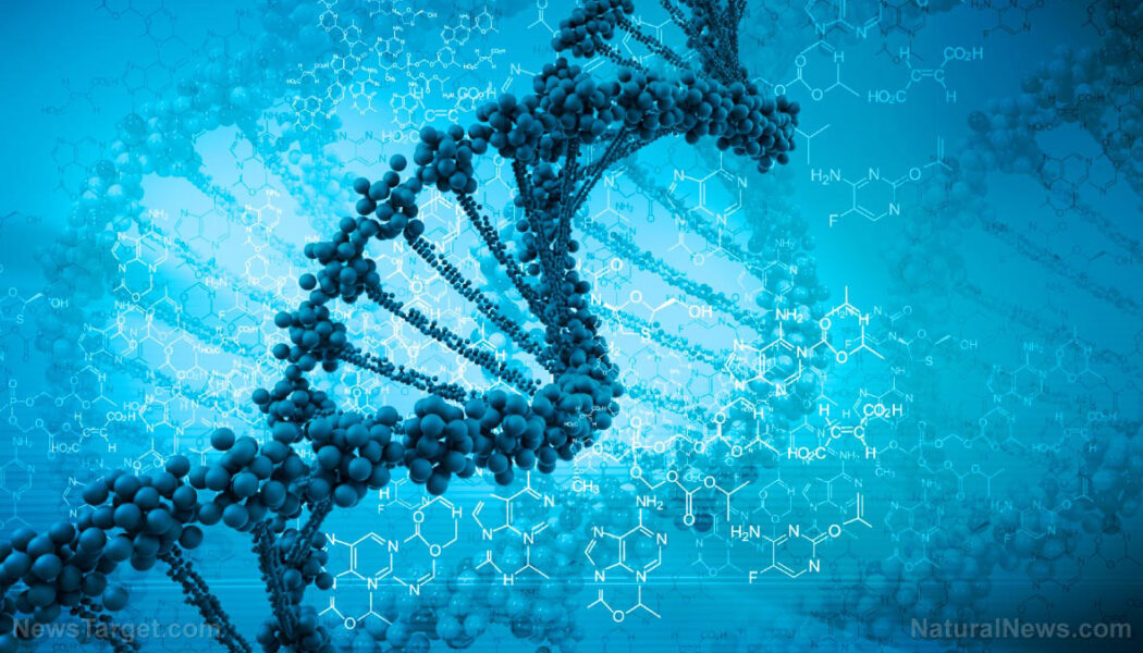 Biometrische Daten und Überwachung: DNA gilt als „ultimative globale ID“