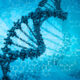 Biometrische Daten und Überwachung: DNA gilt als „ultimative globale ID“